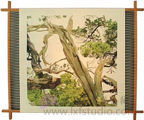 王凯老师参展作品