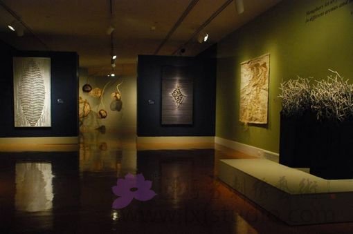 任光辉、肖军、张海东、邱蔚丽等老师参展作品