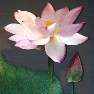 梁雪芳作品《荷》